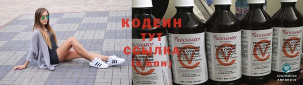первитин Каменка