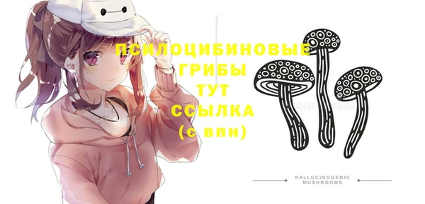 амф Каменногорск