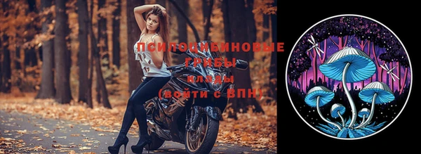 амф Каменногорск